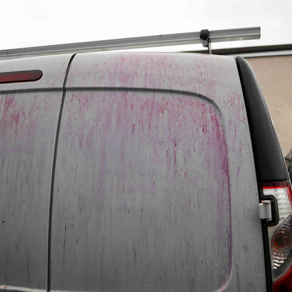 13 Piece Bargain Box