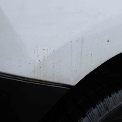 13 Piece Bargain Box