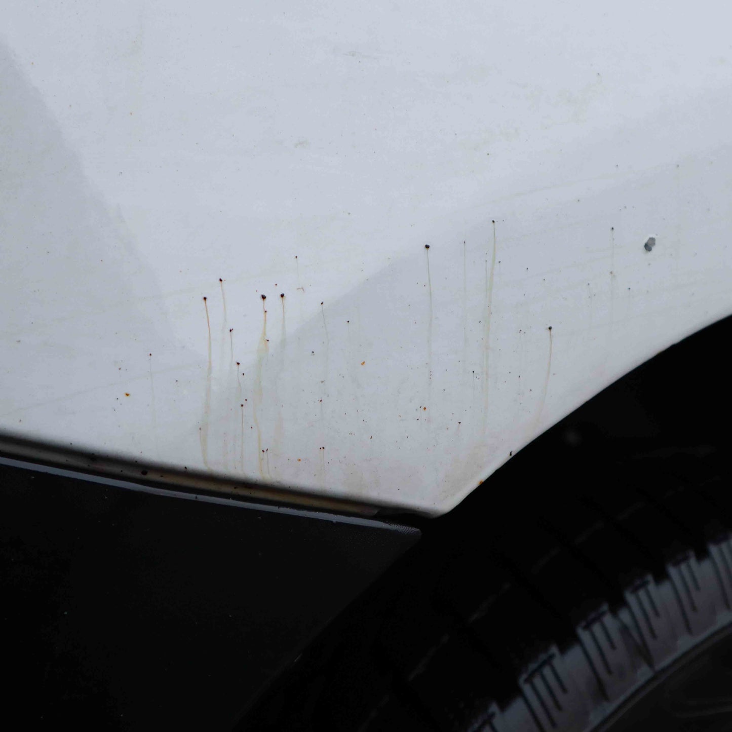 Liquefy Tar & Glue Remover